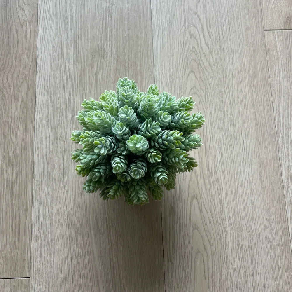 Faux Potted Hops Succulent